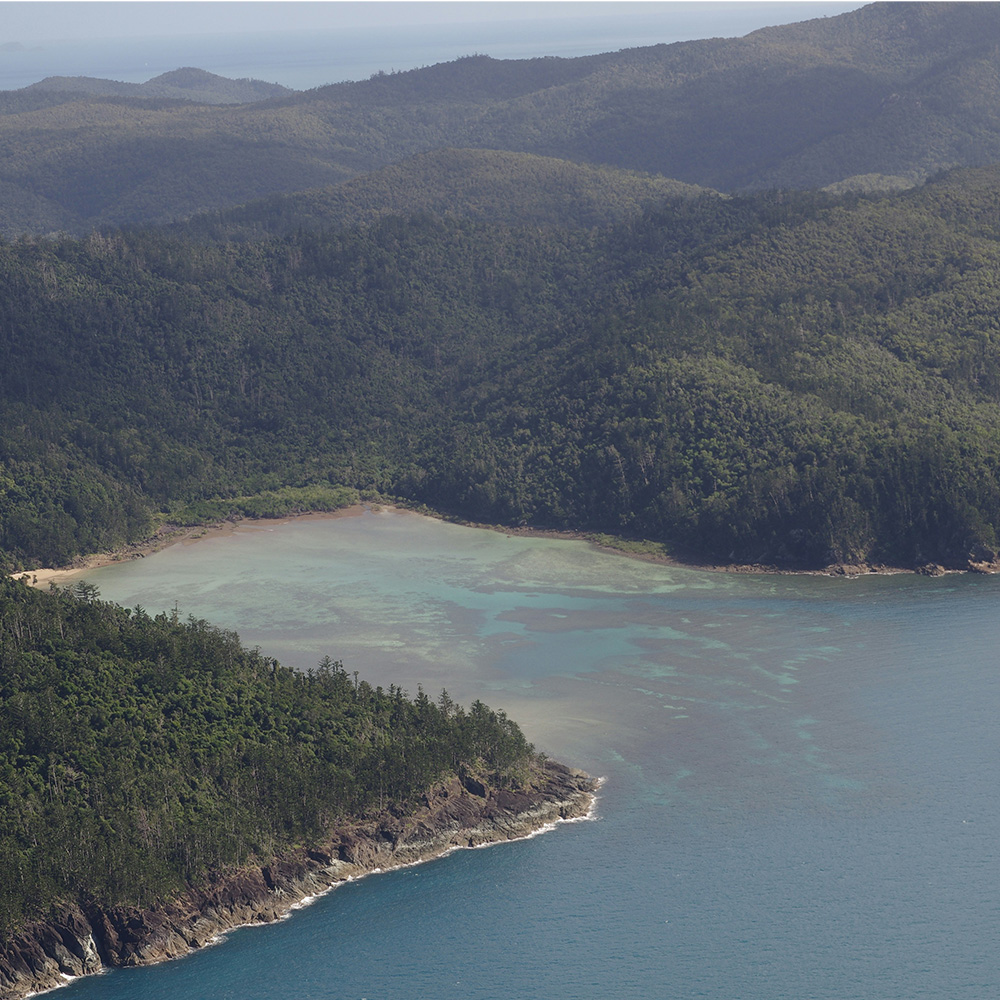 Busy Urban Life in Manchester